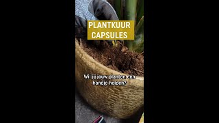 Plantkuur capsules voor een extra boost [upl. by Dragone]