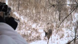 FULL VIDEO  Spine shot from the stand  4 x 5 white tail [upl. by Oironoh]