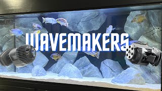 Why You Need Wavemakers in Cichlid Tanks [upl. by Jovita765]