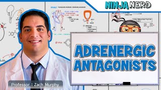 Autonomic Pharmacology  Adrenergic Antagonists [upl. by Wellesley641]