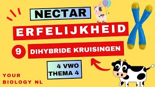 4 vwo  Erfelijkheid  9  Dihybride kruisingen [upl. by Ilene925]