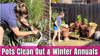 Organizing Garden Pots for Winter 🌿  Adding Winter Color with Pansies amp Snapdragons in Containers [upl. by Lymann]