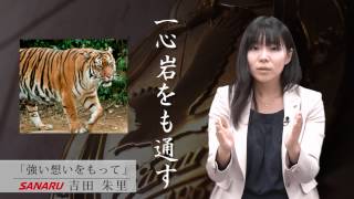 「強い想いをもって」吉田朱里先生  教師からのメッセージ｜佐鳴予備校（株式会社さなる） [upl. by Devol]