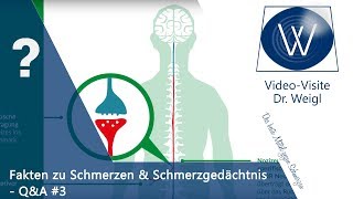 Chronischer Schmerz das Schmerzgedächtnis psychosomatische Schmerzen amp Schmerztherapie ☎QampA 3👥 [upl. by Ylatfen]