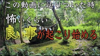 【出雲大神宮遠隔参拝】※京都最強パワースポットの恩恵※怖いくらい願いが叶う（Izumo Grand Shrine Kyoto Japan※縁結 金運 長寿 パワースポットひとり旅68 [upl. by Nadnerb]