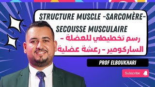 Partie 1  Structure muscle sarcomèresecousse musculaire رسم تخطيطي للعضلة  الساركومير رعشة [upl. by Epstein]