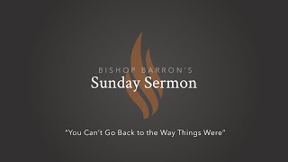 You Can’t Go Back to the Way Things Were — Bishop Barron’s Sunday Sermon [upl. by Aneez]