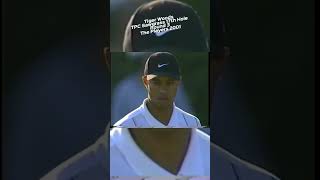 Tiger Woods  TPC Sawgrass 17th Hole  Round 3  The Players Championship 2001 [upl. by Anniram]