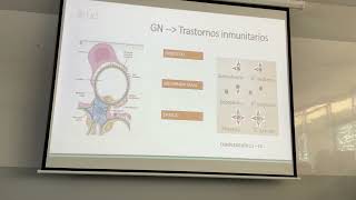 Glomerulopatias [upl. by Ylerebmik]