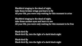 The Beatles  Blackbird Meaning [upl. by Delaryd216]