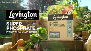 How to use Levington Superphosphate phosphorus supplement for vegetable plants [upl. by Soble]