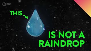 What Do Raindrops Really Look Like [upl. by Rellia864]