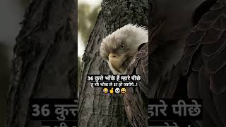 Tochan Full Video  SIDHU MOOSEWALA  BYG BYRD tochansong moosajatt [upl. by Justina]