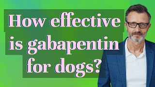 How effective is gabapentin for dogs [upl. by Olen]