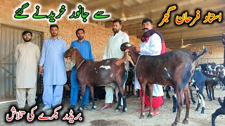 Visit Of Goat Life Line Farm For Purchasing Of Breader Buck Ustaad Farhan Gujjar [upl. by Luedtke]