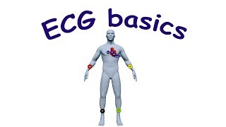 ECG basics [upl. by Merell]