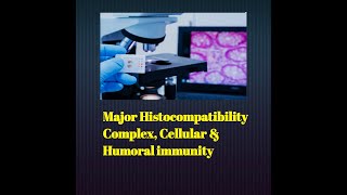 MHC CELLULAR amp HUMORAL IMMUNITY immunology MHC CELLULAR humoral pathologybasics [upl. by Harlow708]