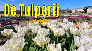 De Tulperij april 2024 part 1 [upl. by Gotthard]