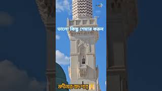 ঐ মদীনার বাদশাহ তুমি নবী সরোয়ার। ইসলামিকভিডিও ছারছীনাদরবারশরিফ ছারছীনাগজল [upl. by Robinet]