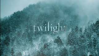 a nostalgic twilight comfort playlist instrumentals  rain ambience [upl. by Philippe]