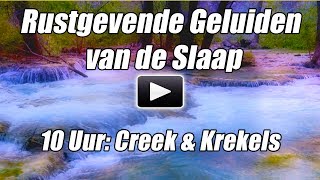 Slaap Geluiden Ontspannen 10 Uur Diep Slapen Rustgevende Natuur bos Stream Krekels Sfeer Kalm Water [upl. by Guerin]