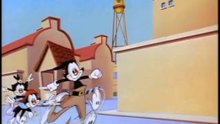 Animaniacs  S01E114 [upl. by Oivat]