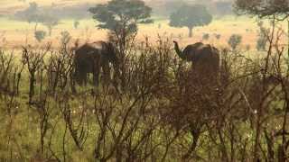 Uganda Sustainable Tourism [upl. by Quintilla]