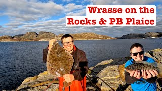 Wrasse on the Rocks and a PB Plaice [upl. by Clywd455]