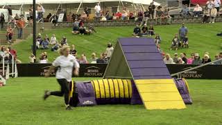 Dog Sports Small Dog Agility Competition [upl. by Raynold]