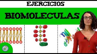 Biomoléculas 1 🔬 ejercicio resuelto EBAU EvAUPAU [upl. by Solange]