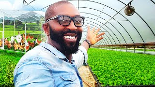 He Left Europe To Become A Farmer In Nigeria [upl. by Waldon162]