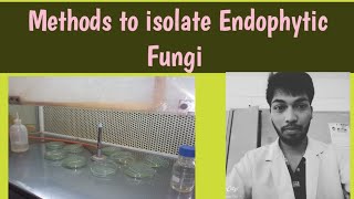 MYCOLOGY4Methods to Isolate Endophytic Fungi EndophytesICARNET MScPhDRohit Shankar Mane [upl. by Gideon]