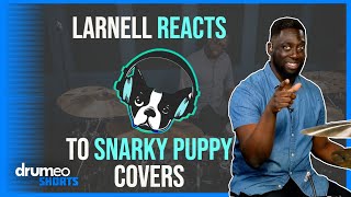 Larnell Lewis reacts to Snarky Puppy drum cover shorts [upl. by Dempstor]