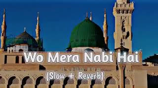 Wo Mera Nabi Hai SlowReverb Naat  Syed Hassan Ullah Hussani  Lofi Naat 2024 [upl. by Miranda]