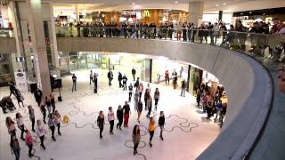 Irish Flash Mob Vienna 2014  Wien Mitte The Mall [upl. by Fogel]