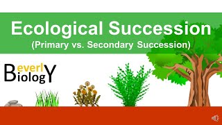 Ecological Succession primary vs secondary [upl. by Ailuig]