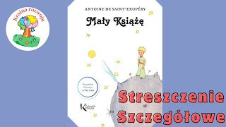 Streszczenie szczegółowe lektury quotMały Książequot [upl. by Illyes]