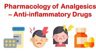 Pharmacology Adrenocorticosteroids amp Adrenocortical Antagonists [upl. by Aneetsirk]