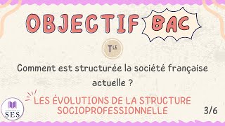 BAC Cours structure sociale  Les évolutions de la structure socioprofessionnelle [upl. by Anirroc]