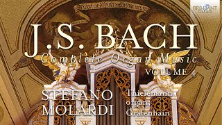 JS Bach Complete Organ Music Vol 4 [upl. by Ynottirb]