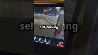 How The Self Parking Workshortvideo [upl. by Lanae]