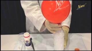 Reaction Between Acid amp Metal Carbonate [upl. by Jordison489]