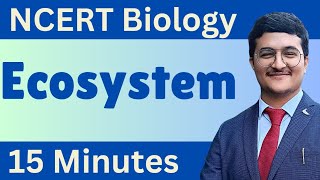 Ecosystem in 15 MINUTES One Shot NCERT line by line Class 12  NEET IAT NCERT Biology [upl. by Domash]