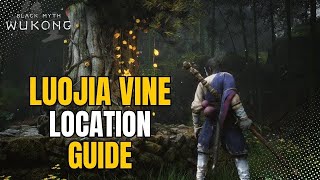 Luojia Vine Location Guide  Webbed Hollow Cliff of Oblivian Shrine  Black Myth Wukong [upl. by Anivlac]