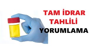 TAM IDRAR TAHLILI YORUMLAMA [upl. by Levram]