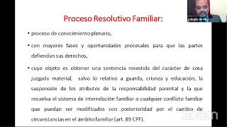 Estructura de los procesos en el Código Procesal de Familia [upl. by Sosanna688]