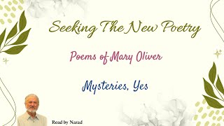 Seeking The New Poetry  Poems of Mary Oliver  Mysteries Yes Read by Narad [upl. by Kelwin]