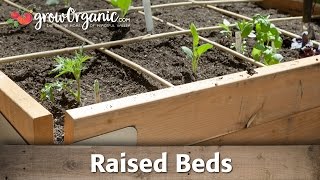 How to Grow Organic Vegetables in Raised Beds [upl. by Ahsatal]