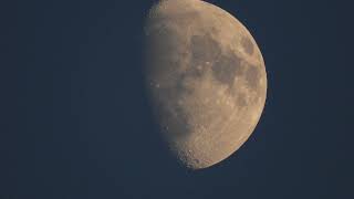 Moon 68  illuminated in Waxing Gibbous  Wednesday August 14 2024 [upl. by Evaleen]