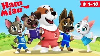 Ham Miau 🐶 ep 110 🐱 Desene animate pentru copii  HeyKids [upl. by Alegnat]